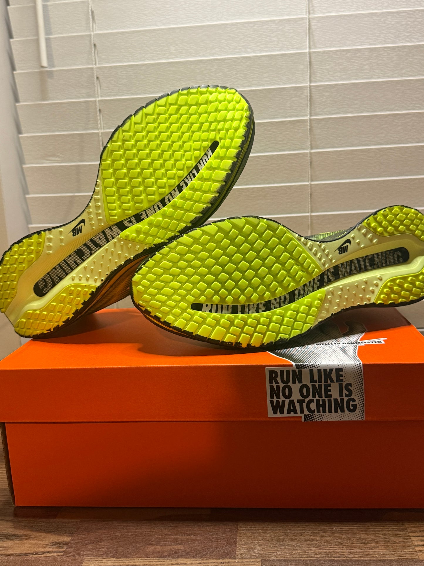 Nike Pegasus Premium Melitta Baumeister Volt