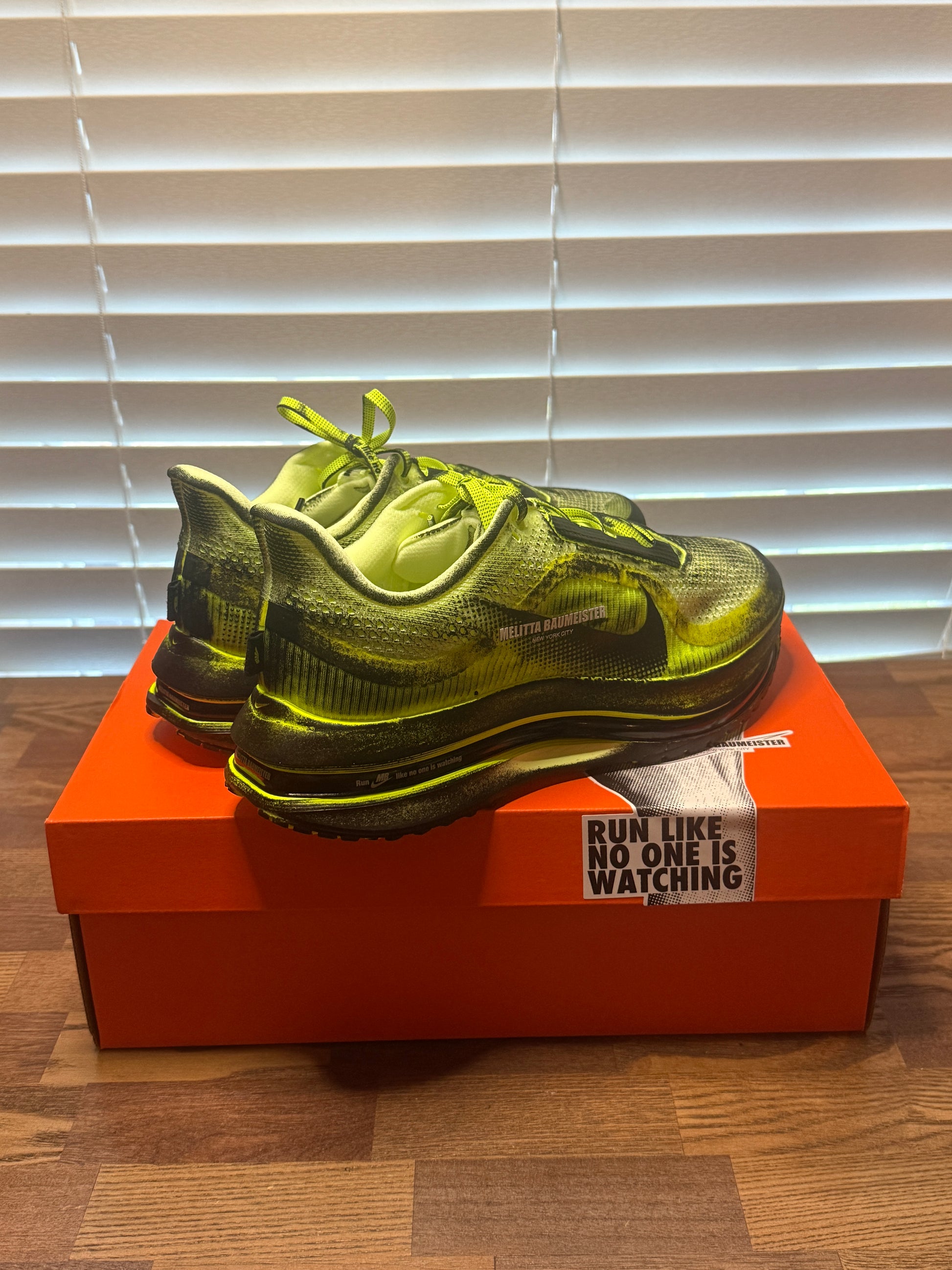 Nike Pegasus Premium Melitta Baumeister Volt